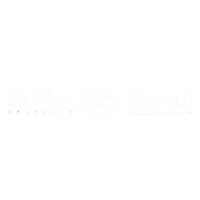 Binsina logo